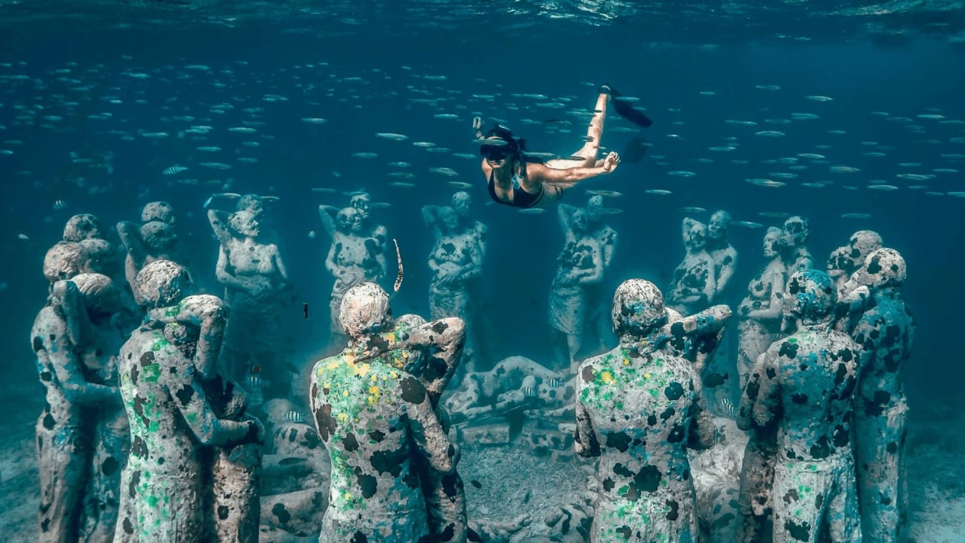 Free diving and snorkeling Gili Islands